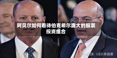 阿贝尔如何看待伯克希尔庞大的股票投资组合-第3张图片