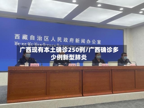 广西现有本土确诊250例/广西确诊多少例新型肺炎-第3张图片