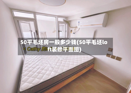 50平毛坯房一般多少钱(50平毛坯loft装修平面图)-第2张图片