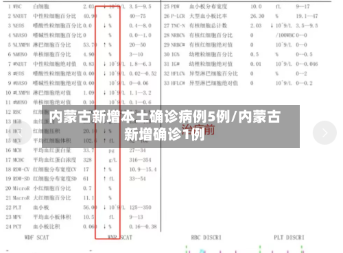 内蒙古新增本土确诊病例5例/内蒙古新增确诊1例-第2张图片