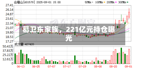 葛卫东家族，221亿元持仓曝光-第2张图片