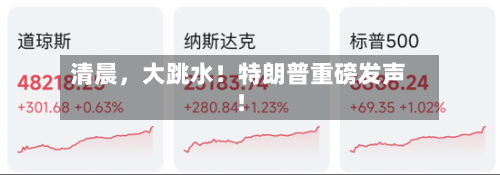 清晨，大跳水！特朗普重磅发声！-第2张图片