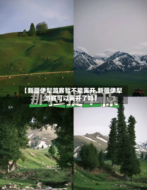 【新疆伊犁游客暂不能离开,新疆伊犁游客可以离开了吗】