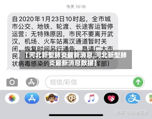 【河北新型肺炎最新消息,河北新型肺炎最新消息数据】