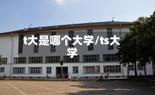 t大是哪个大学/ts大学
