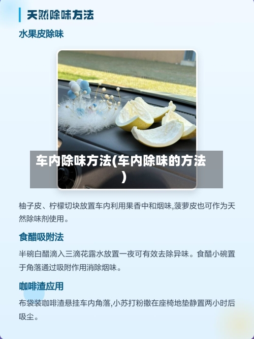 车内除味方法(车内除味的方法)