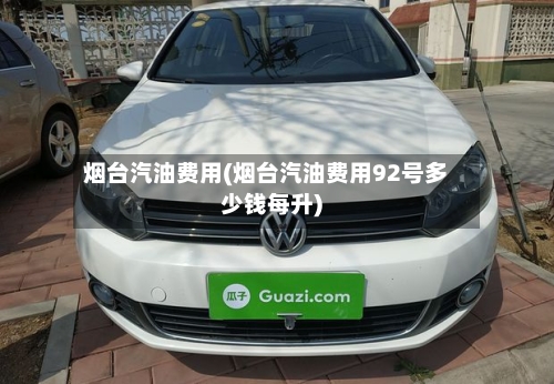 烟台汽油费用(烟台汽油费用92号多少钱每升)-第2张图片