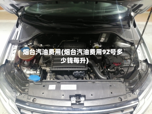 烟台汽油费用(烟台汽油费用92号多少钱每升)