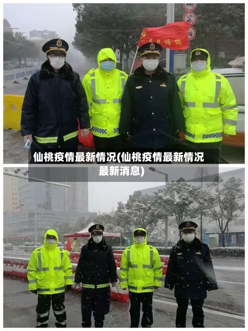 仙桃疫情最新情况(仙桃疫情最新情况最新消息)-第3张图片