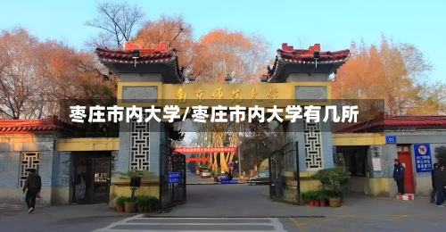 枣庄市内大学/枣庄市内大学有几所-第2张图片