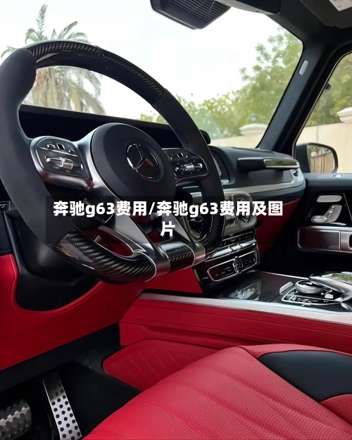 奔驰g63费用/奔驰g63费用及图片