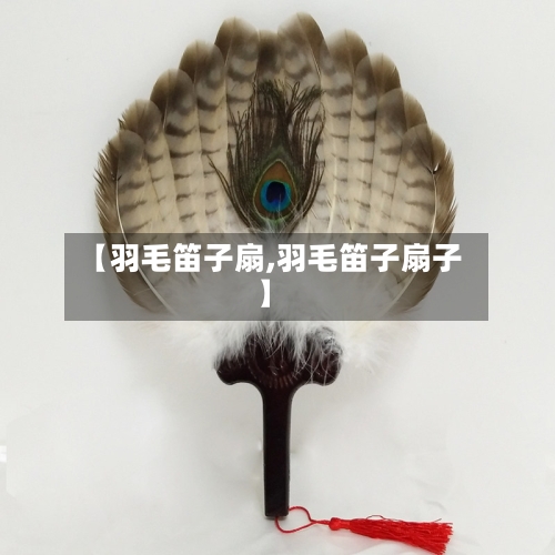 【羽毛笛子扇,羽毛笛子扇子】