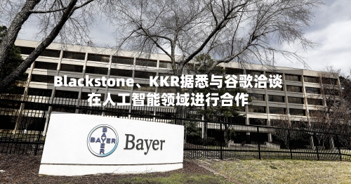 Blackstone、KKR据悉与谷歌洽谈在人工智能领域进行合作-第2张图片
