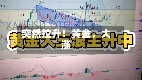 突然拉升！黄金	，大涨-第3张图片