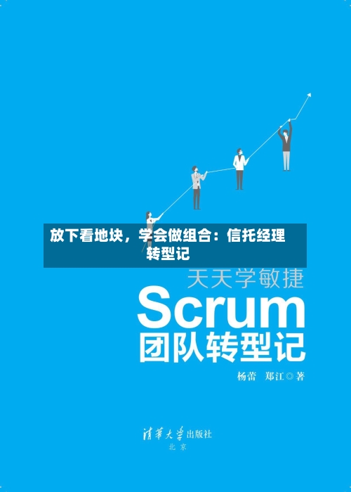 放下看地块，学会做组合：信托经理转型记-第2张图片