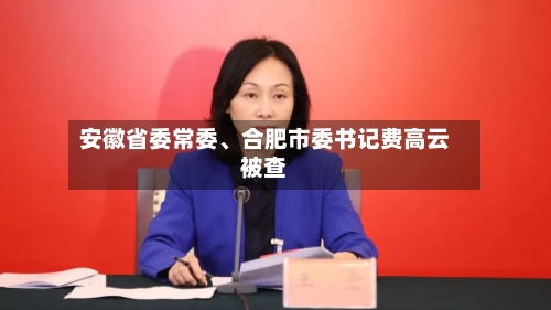 安徽省委常委、合肥市委书记费高云被查-第2张图片