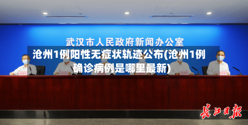 沧州1例阳性无症状轨迹公布(沧州1例确诊病例是哪里最新)-第2张图片