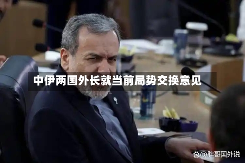 中伊两国外长就当前局势交换意见