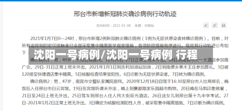 沈阳一号病例/沈阳一号病例 行程-第2张图片