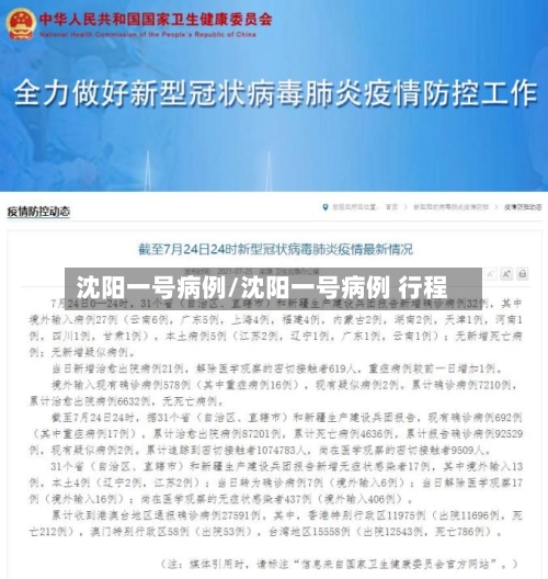 沈阳一号病例/沈阳一号病例 行程