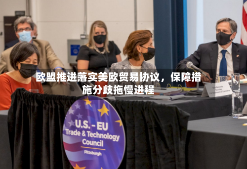 欧盟推进落实美欧贸易协议，保障措施分歧拖慢进程-第2张图片