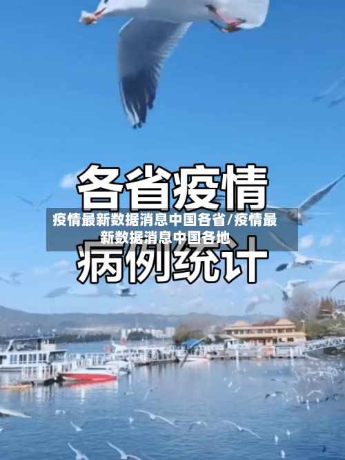 疫情最新数据消息中国各省/疫情最新数据消息中国各地