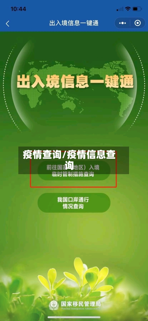 疫情查询/疫情信息查询
