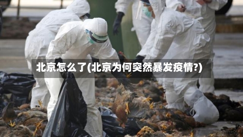 北京怎么了(北京为何突然暴发疫情?)-第2张图片