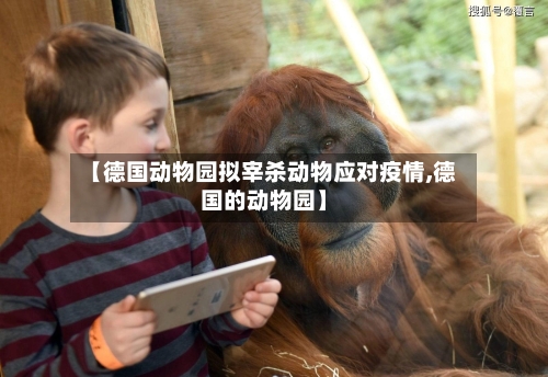 【德国动物园拟宰杀动物应对疫情,德国的动物园】-第2张图片