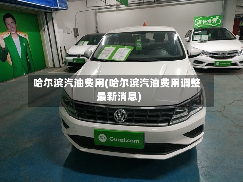 哈尔滨汽油费用(哈尔滨汽油费用调整最新消息)