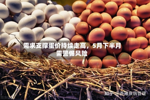 需求支撑蛋价持续走高	，5月下半月需警惕风险-第2张图片