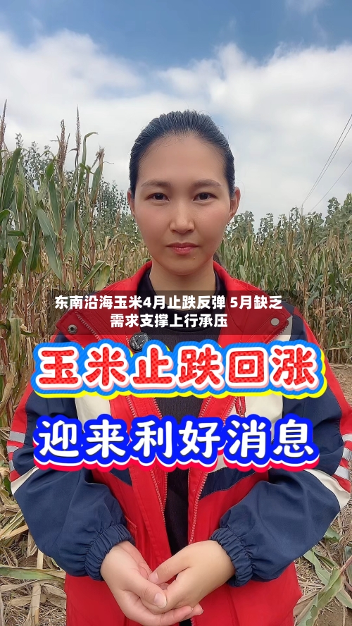 东南沿海玉米4月止跌反弹 5月缺乏需求支撑上行承压