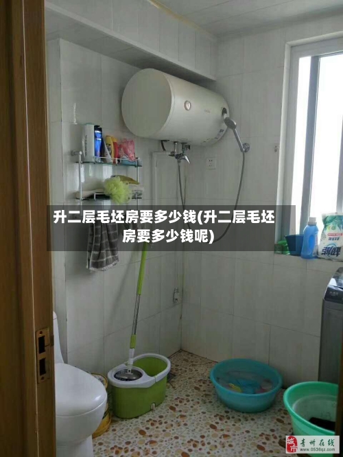 升二层毛坯房要多少钱(升二层毛坯房要多少钱呢)