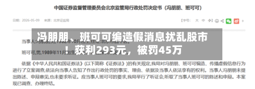 冯朋朋、班可可编造假消息扰乱股市！获利293元，被罚45万