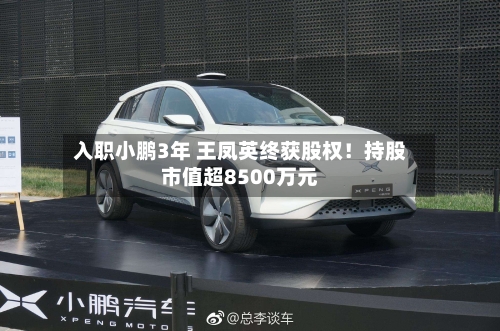 入职小鹏3年 王凤英终获股权!持股市值超8500万元-第2张图片
