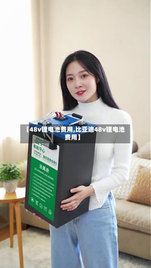 【48v锂电池费用,比亚迪48v锂电池费用】-第2张图片