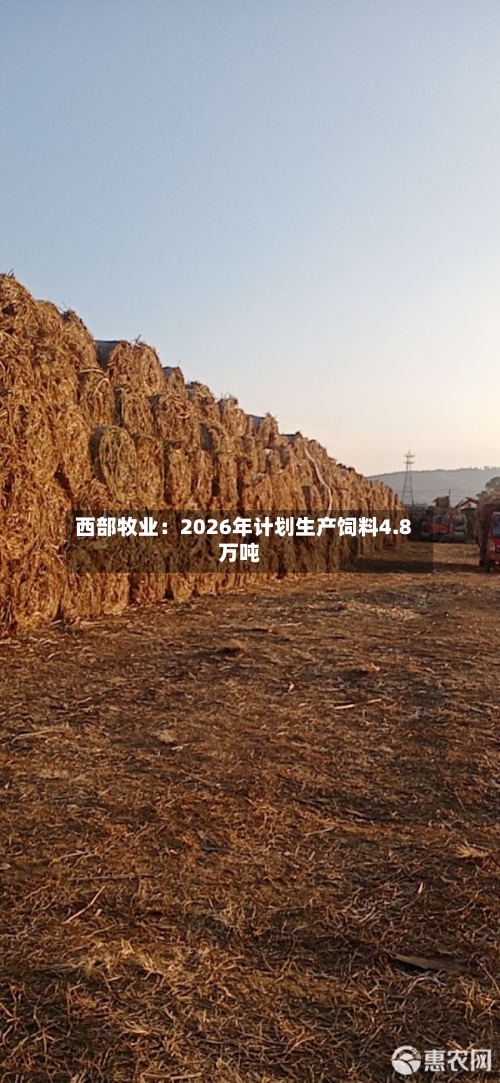 西部牧业：2026年计划生产饲料4.8万吨-第2张图片