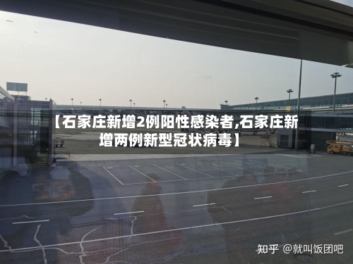 【石家庄新增2例阳性感染者,石家庄新增两例新型冠状病毒】-第2张图片