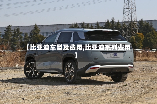 【比亚迪车型及费用,比亚迪系列费用】