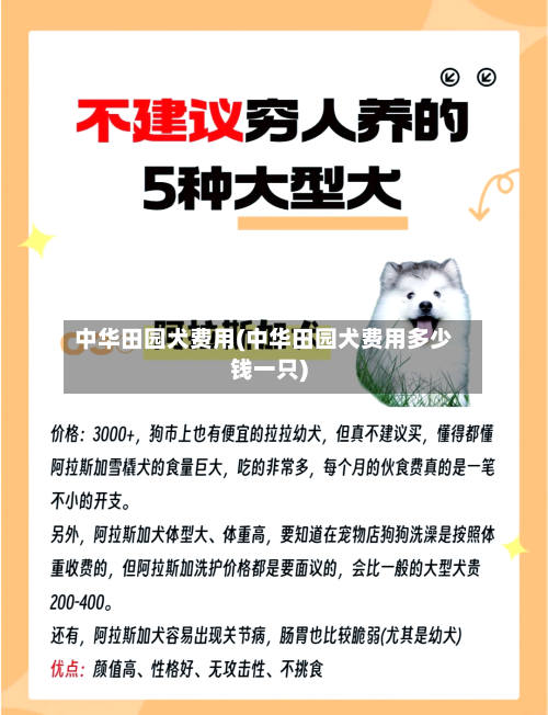 中华田园犬费用(中华田园犬费用多少钱一只)-第2张图片