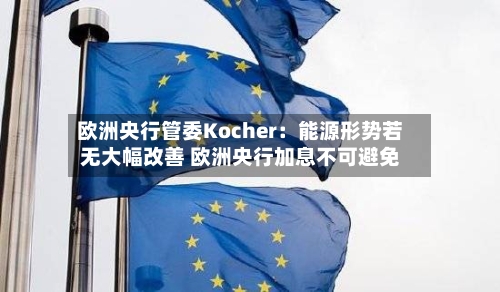 欧洲央行管委Kocher：能源形势若无大幅改善 欧洲央行加息不可避免-第3张图片