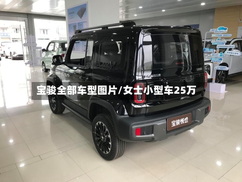 宝骏全部车型图片/女士小型车25万