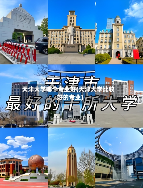 天津大学哪个专业好(天津大学比较好的专业)-第2张图片