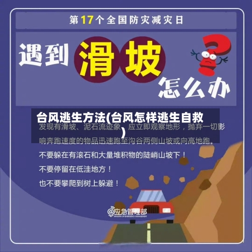 台风逃生方法(台风怎样逃生自救)-第2张图片