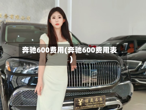 奔驰600费用(奔驰600费用表)-第2张图片