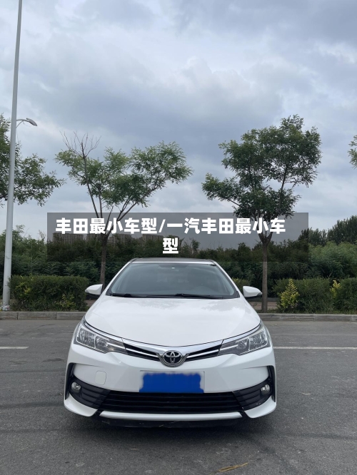 丰田最小车型/一汽丰田最小车型