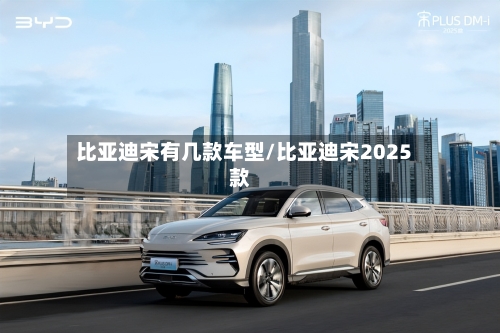 比亚迪宋有几款车型/比亚迪宋2025款-第2张图片