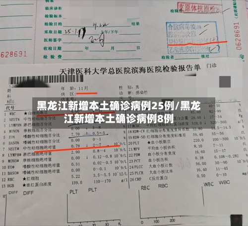 黑龙江新增本土确诊病例25例/黑龙江新增本土确诊病例8例