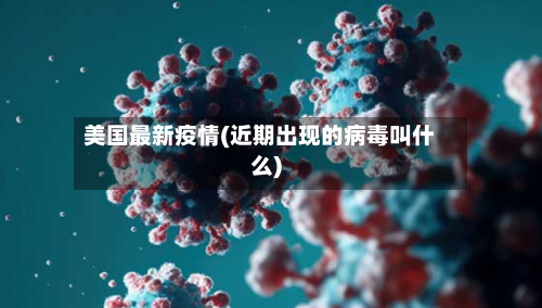 美国最新疫情(近期出现的病毒叫什么)-第2张图片