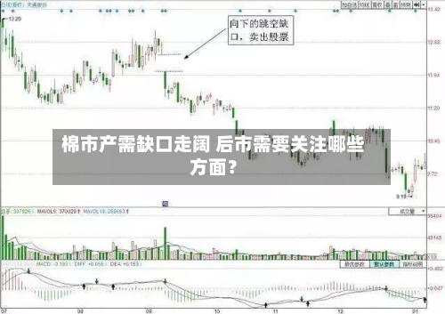 棉市产需缺口走阔 后市需要关注哪些方面?-第3张图片